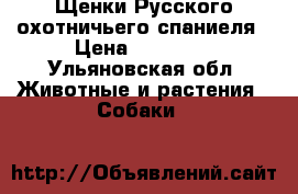 Щенки Русского охотничьего спаниеля › Цена ­ 15 000 - Ульяновская обл. Животные и растения » Собаки   